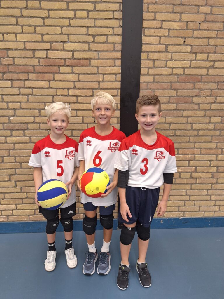 Volley Stars 2 4